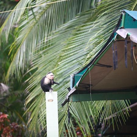 Rafiki Beach Camp Matapalo (Puntarenas) Exterior foto