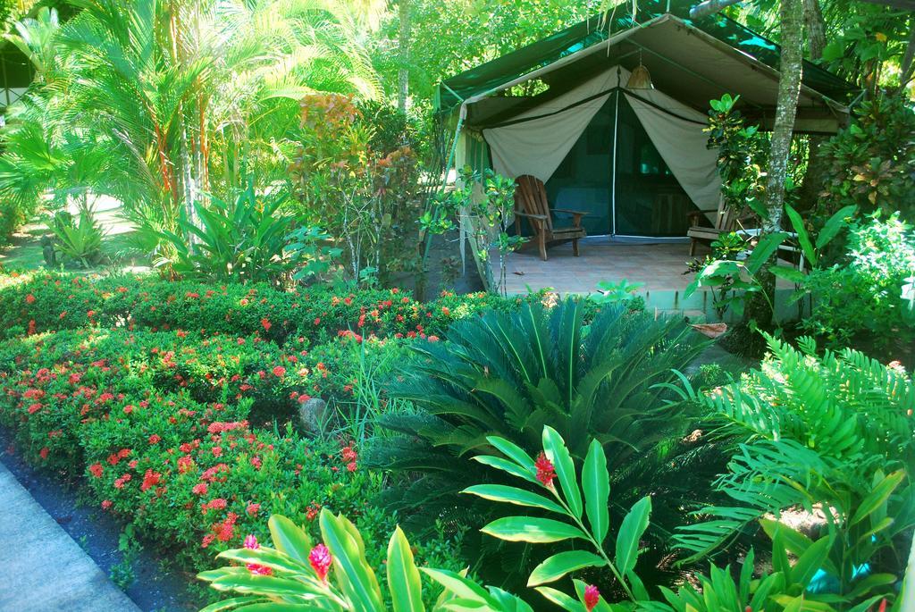 Rafiki Beach Camp Matapalo (Puntarenas) Quarto foto