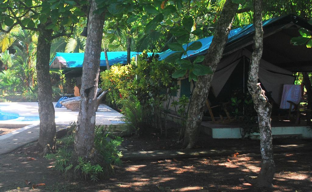 Rafiki Beach Camp Matapalo (Puntarenas) Quarto foto