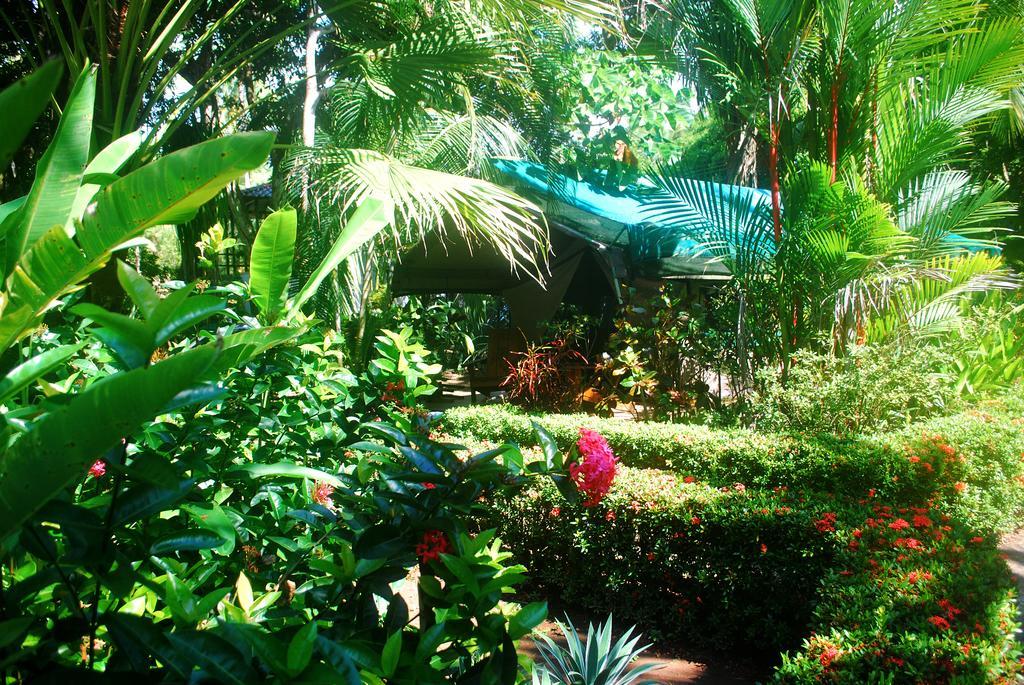 Rafiki Beach Camp Matapalo (Puntarenas) Quarto foto