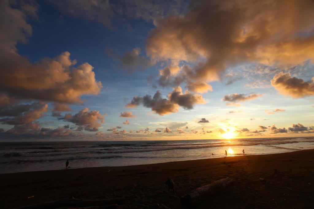 Rafiki Beach Camp Matapalo (Puntarenas) Exterior foto